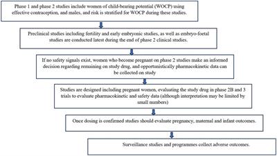 Safety surveillance for PrEP in pregnant and breastfeeding women